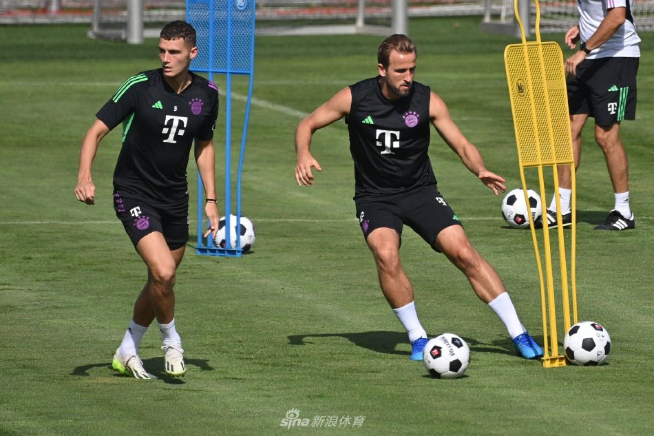 的适应过程 的适应过程